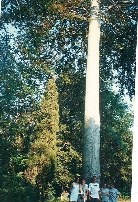 gargano98_020.jpg