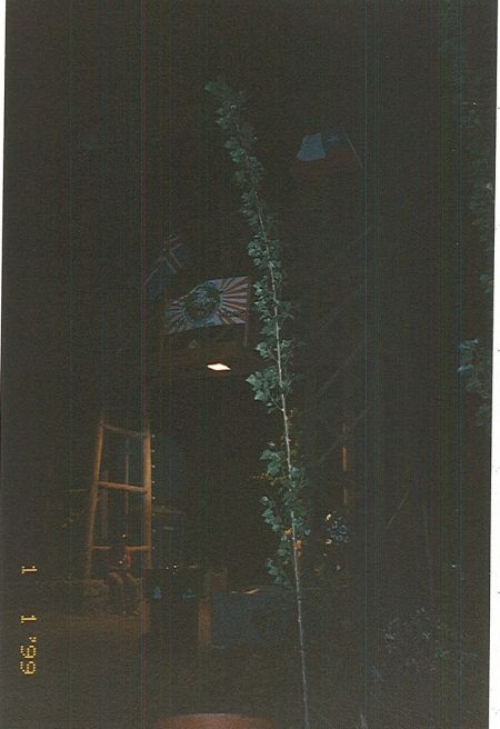 jamboree_cile98_063.jpg