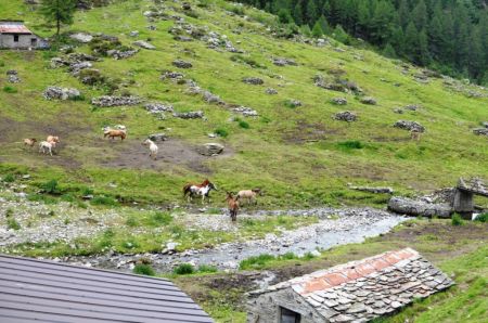 29-30-06-2013-Val_di_Togno_025.JPG