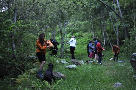 29-30-06-2013-Val_di_Togno_039.JPG