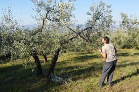 Assisi_2015-08-22-09h02m03.JPG