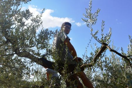 Assisi_2015-08-22-10h22m43.JPG