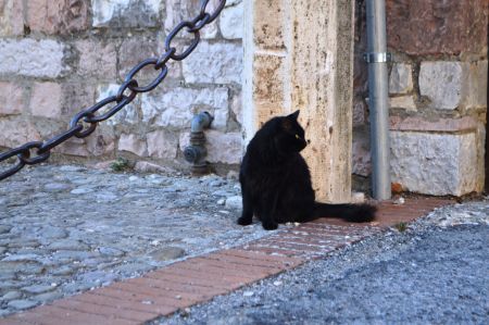 Assisi_2015-08-22-17h19m29.JPG