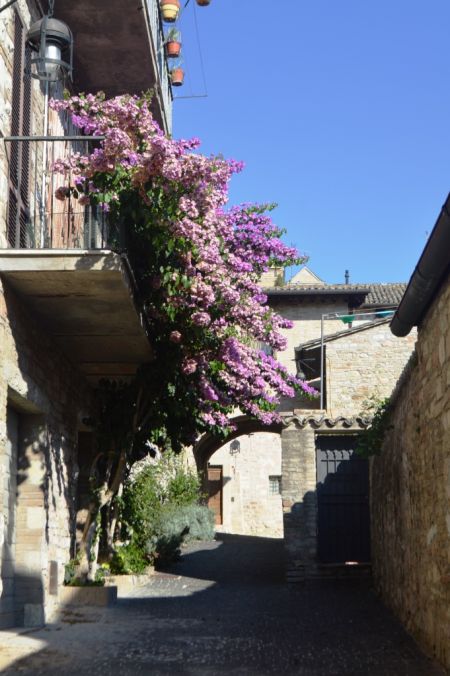 Assisi_2015-08-22-17h39m11.JPG