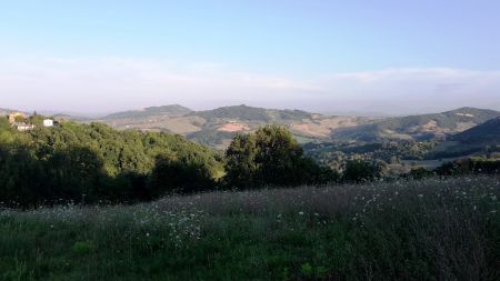 2016-08-07-19h27m24.jpg