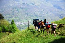 Route di Pasqua - Sentiero del Viandante (13/15-4-2017)
