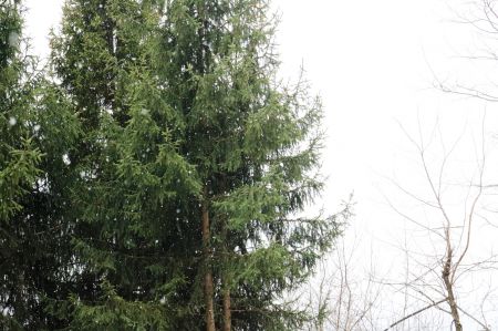 2017-12-08-12h58m09.JPG