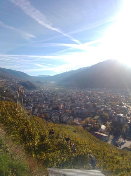 2022-11-06-8h42m56.jpeg