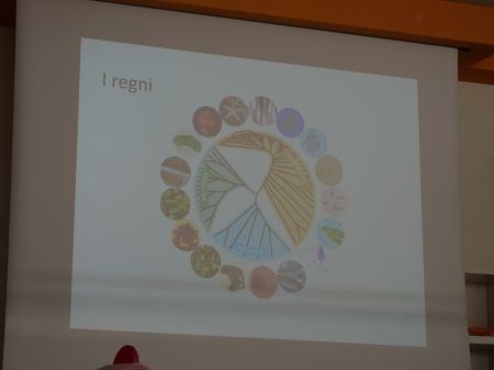 2024-02-25-14h00m28.JPG