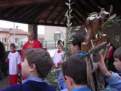 Processione con gli ulivi